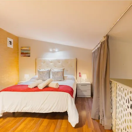 Duplex-penthouse Terrace Citycenter *